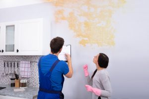 worker looking at mold damage in kitchen, sell a home with mold damage